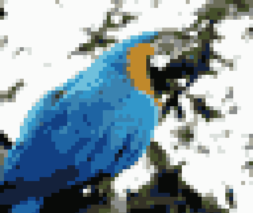 Photo d’ara convertie en pixel art, blocs de taille 8, 16 couleurs
